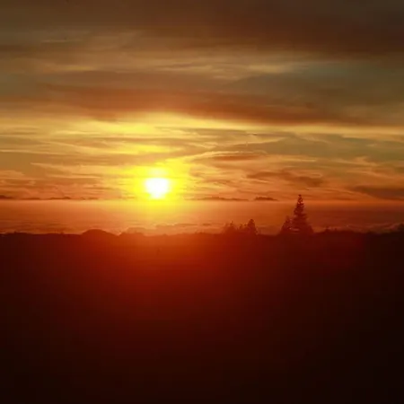 Cristianos Apartment, 1 Bedroom Wifi Free & Big Terrace Los Cristianos (Tenerife)